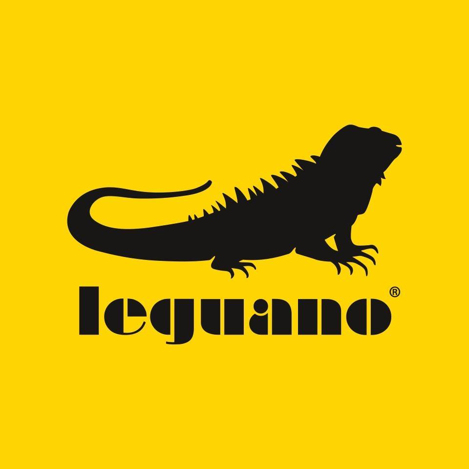 logonove2019